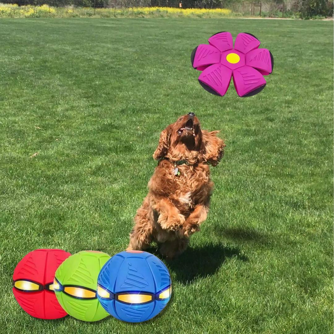 フライボール™ - 子供もペットも夢中になる！変形フライングボール
