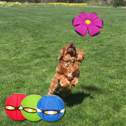 フライボール™ - 子供もペットも夢中になる！変形フライングボール